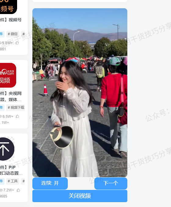 图片[2]-【主题插件】子比主题插件-随机小姐姐小工具-联码科技