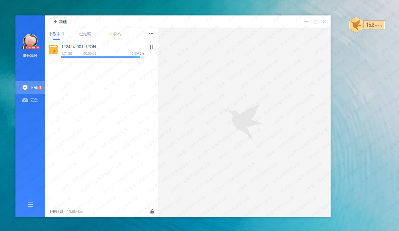 图片[1]-【电脑破解】迅雷破解精简版-联码科技